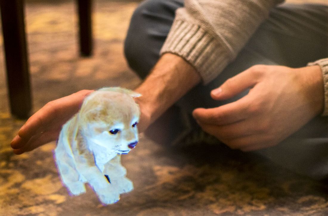 A puppy through Augmented Reality