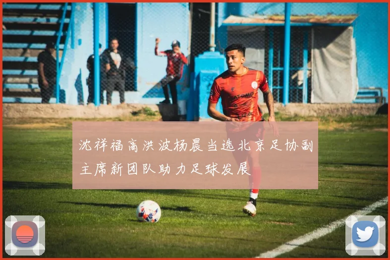 沈祥福高洪波杨晨当选北京足协副主席新团队助力足球发展